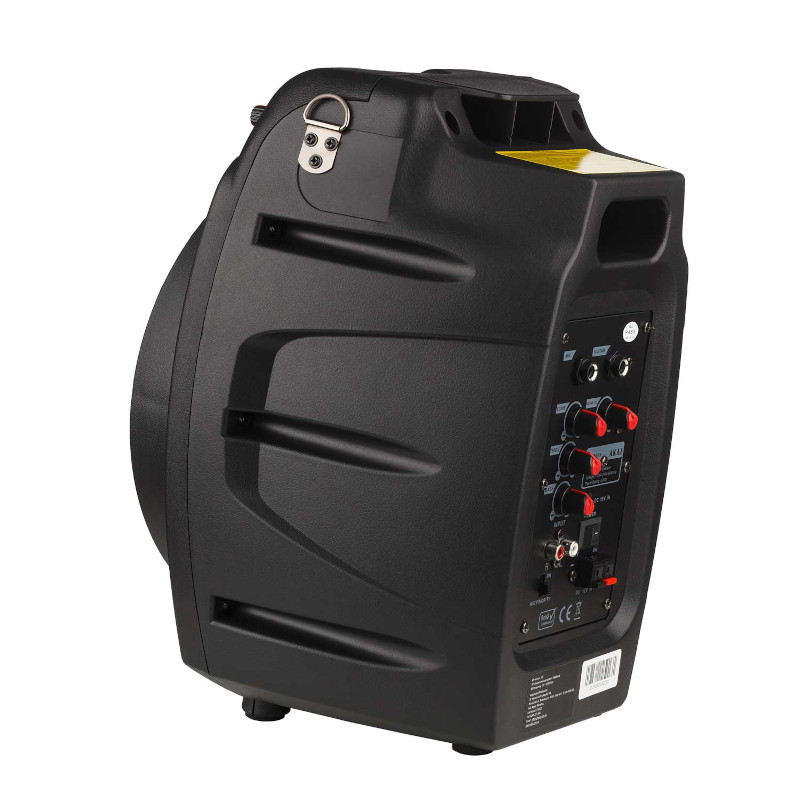 ασύρματο μικρόφωνο και τηλεχειριστήριο – 30W RMS