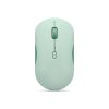 Lenovo 350 Bluetooth Silent Mouse Breeze Moss